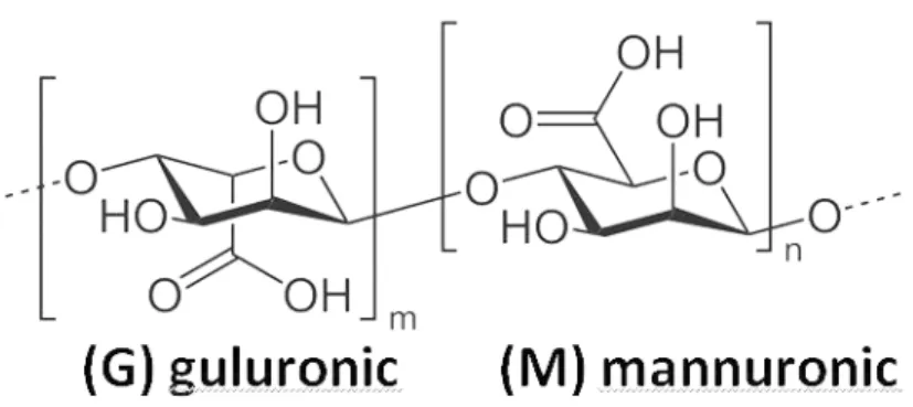 Figure 1.3: Sodium alginate chemical structure. (Adapted from Narayanan et al. 55 )