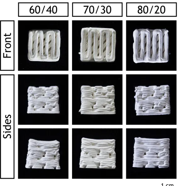 Figure 3.2: Macroscopic images of the different produced scaffolds