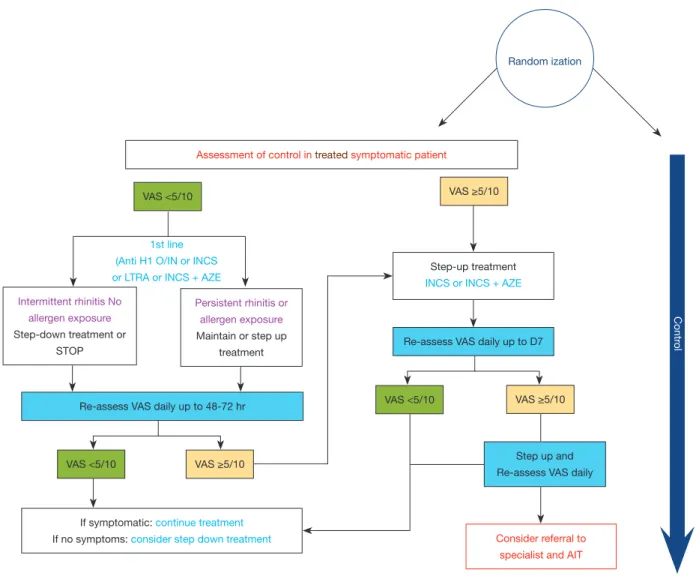 Figure 1 Development of algorithms for allergic rhinitis. VAS, Visual Analogue Scale. 