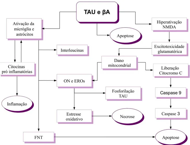 Figura 7: Esquema representativo dos processos que ocorrem na célula após o acúmulo de beta-amiloide e TAU