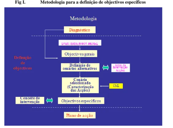 Fig I.   Metodologia para a definição de objectivos específicos 
