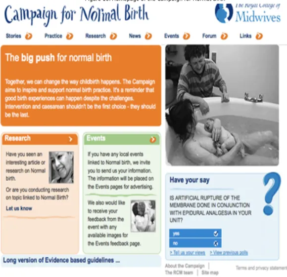 Figure 10: Homepage of the Campaign for Normal Birth 