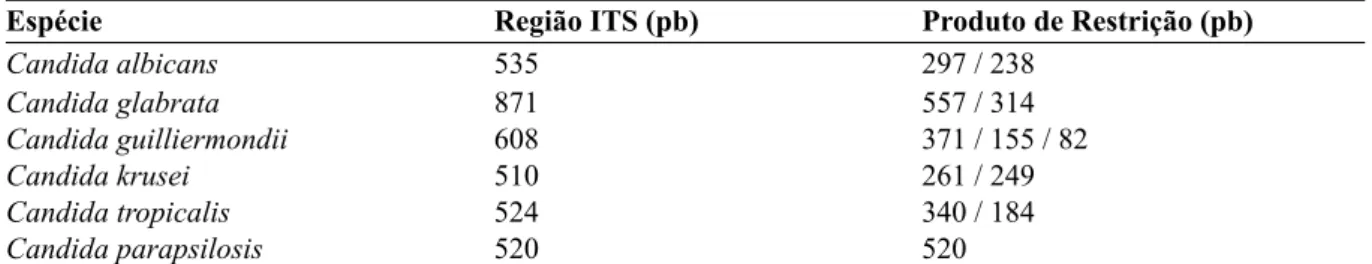 Tabela 4 - Dimensões dos fragmentos amplificados para Candida spp. após PCR RFLP e restrição com  MspI