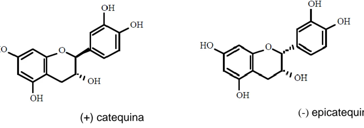 Figura 1- Estrutura da catequina e seu isômero epicatequina 