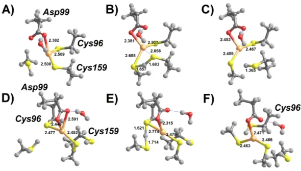 Figure 2 Cys-assisted thiol addition to Hg 2 + . (A) Pre-reactional complex (Int1); (B) H + trans- trans-fer to Cys 159 (transition state); (C) thiol-based Int2 bound); (D) thiol-based Int2  (Cys96-bound) + CH 3 SH; (E) H + transfer to Cys 96 (transition s