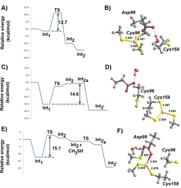 Figure 5 MP2/CBS//B3PW91/6-31G(d) energetic profiles (with ε = 20) and representative structures of intermediates arising from attack of Hg 2+ by a thiol and a thiolate