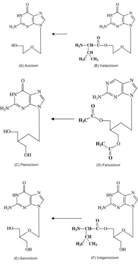 Figura 3. Estruturas moleculares dos análogos de nucleosídios e seus pró-fármacos. 