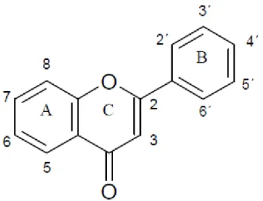 Figura 4. Estrutura química geral dos flavonoides. A/B: anéis benzeno; C: anel pirano