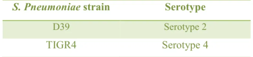 Table 1. bacterial strains used in this research 