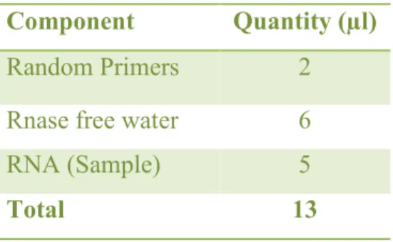 Table 4. Quantities of components added per reaction 