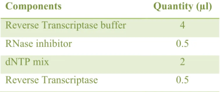 Table 5. Quantities of each component added per reaction (tube) 