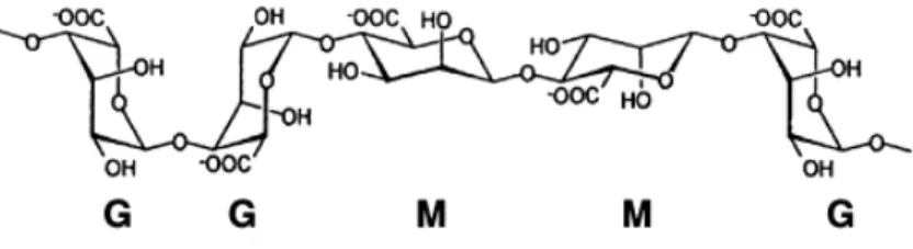 Figura 9. Representação da estrutura química do Alginato (adaptado de Steinbüchel e Rhee, 2005)