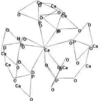 Figura  10.  Representação  da  estrutura  química  da  Hidroxiapatite,  tendo  o  cálcio  como  átomo  central  (adaptado de Gutowska et al., 2005)