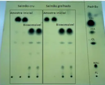 Figura 11: TLC analítica do salmão cru e grelhado com os respetivos bioacessíveis. 