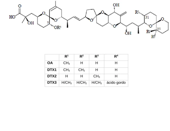 Figura 6 − Estruturas químicas do AO, DTX 1, 2 e 3 (EFSA, 2008). 