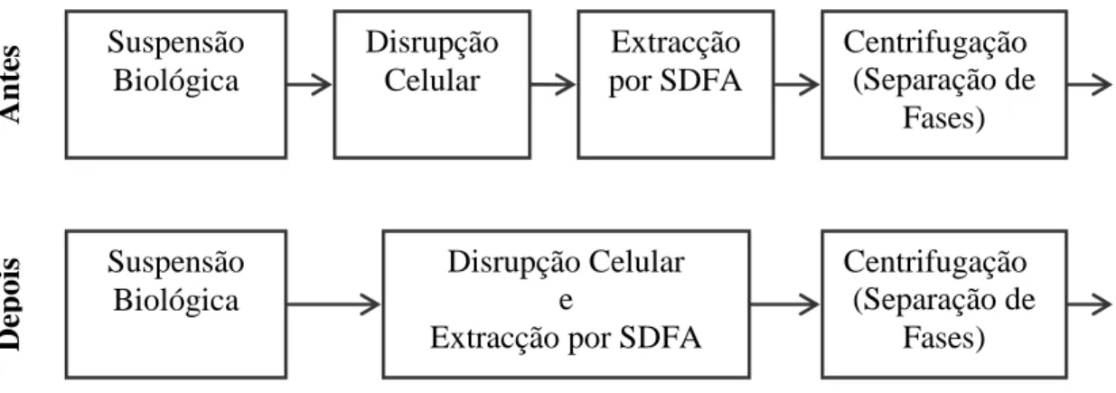 Figura 7 – Esquema comparando os passos antes e depois da integração do processo de  SDFA com a disrupção celular (Adaptado de: Rito-Palomares e Lyddiatt, 2002)