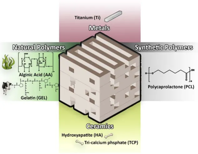 Figure  7.  Schematic representation of materials used in bone tissue engineering.  