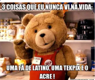 Figura 2 – Exemplo (2): Meme  