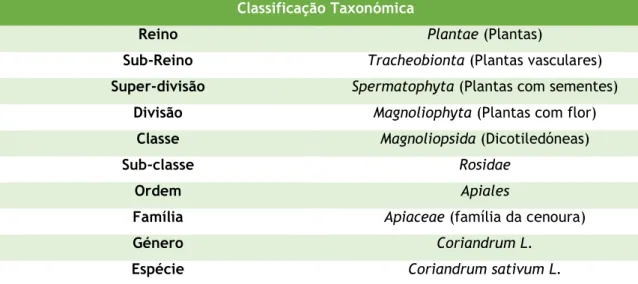Tabela 4.1. Classificação taxonómica do óleo de C. sativum [3]. 