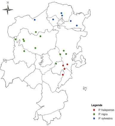 Figura 3. Mapa de localização das parcelas de amostragem na comarca de Solsonès, com indicação da  espécie de Pinácea dominante