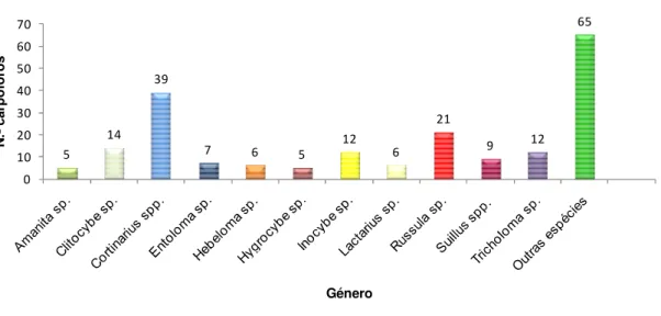 Figura 7. Número de carpóforos por hectare dos géneros recolhidos na comarca de Solsonès
