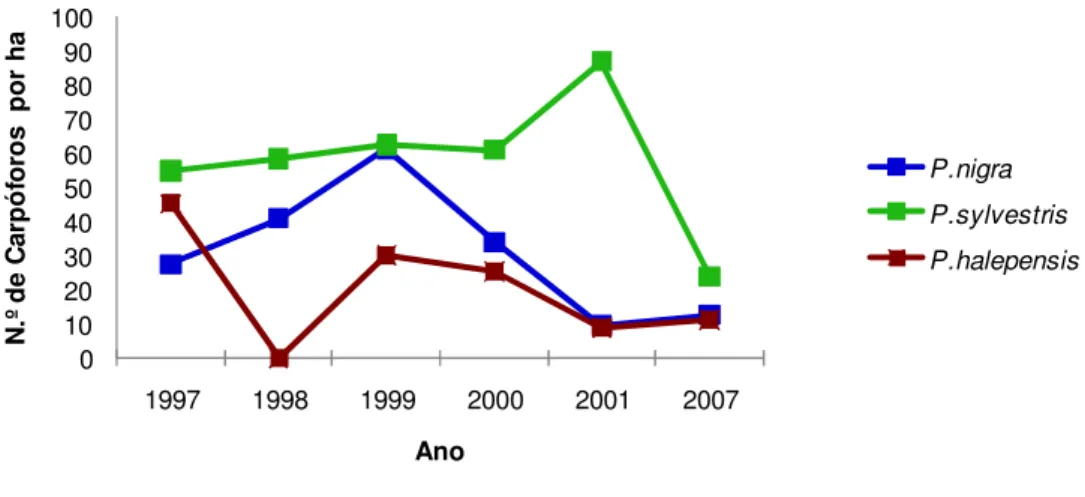 Figura 9. Evolução da distribuição do número de carpóforos por hectare, por tipo de povoamento, nos  anos em análise