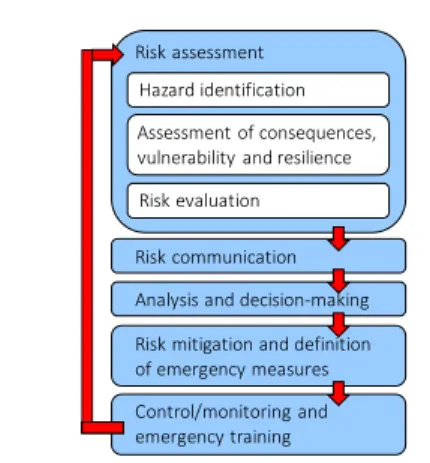 Figure 2. The risk management cycle 