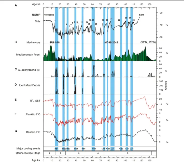 FIGURE 6 | Vegetation response to the millennial-scale variability of the last glacial period in southwestern Iberia