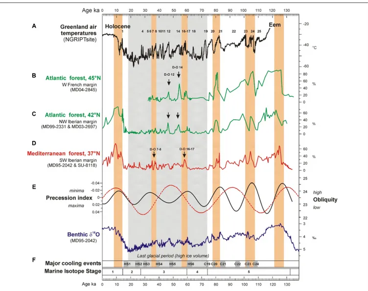 FIGURE 7 | Evolution of Greenland temperature, western European temperate forest development (37–45 ◦ N) and SSTs (37 ◦ N) over the last climatic cycle compared with iceberg discharges (37 ◦ N), precession index, obliquity and ice volume variations