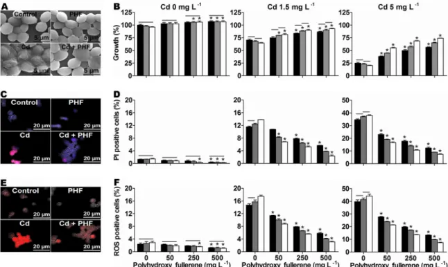 FIG 2 Qualitative effects of Cd (5 mg liter ⫺ 1 ) and/or PHF (500 mg liter ⫺ 1 ) on S