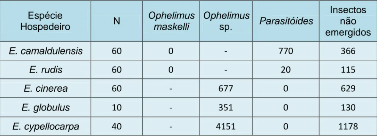 Tabela 3: Número de insectos galícolas parasitoides emergidos em galhas de O. maskelli e  Ophelimus sp., em função do hospedeiro vegetal.