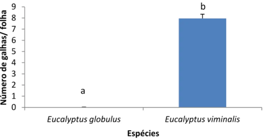 Fig. 40: Espécies hospedeiras de Ophelimus sp. presentes na Mata Nacional do Escaroupim