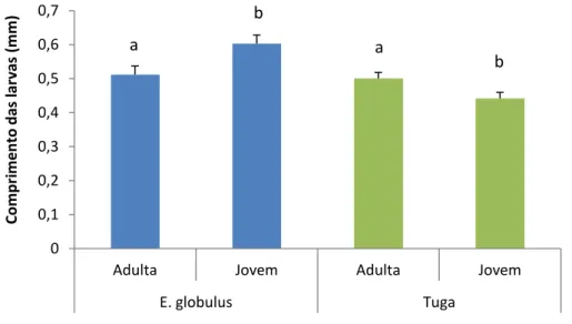Fig. 63: Comprimento das larvas (mm) (média ± erro padrão) de Ophelimus sp. em folhas  adultas e jovens presentes de Eucalyptus globulus em dois locais: Arboreto do ISA e Valongo
