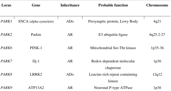 Table 2- Genetic factors with PARK status in PD. ADo, autosomal dominant; AR, autosomal recessive