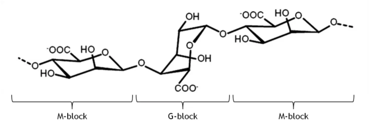 Figure 10: Chemical structure of sodium alginate (adapted from  71 ). 