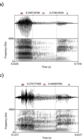 Figure 1. Sample waveforms and spectrograms of the word  /æm:ɛ/ ‘aunt’. he area within the two dotted lines indicates  the interval corresponding to the duration of the geminate  consonant /m:/ in a token produced by a participant from: 
