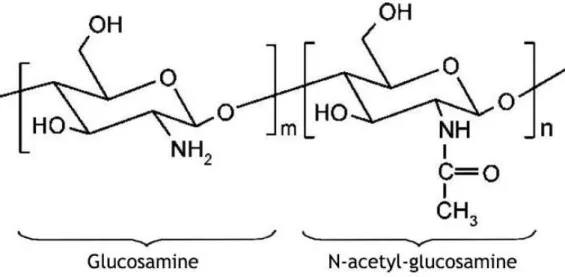 Figure 5: Representation of chitosan structure (adapted from [66]). 
