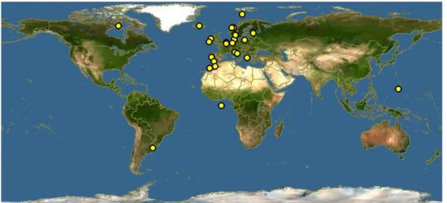 Figure 1.6. World distribution of Scrobicularia plana (Source: Discover life http://www.discoverlife.org/) 