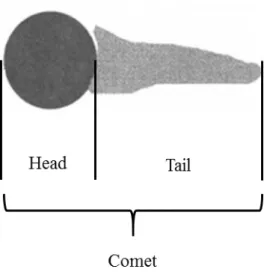 Figure 2.2. Diagram of typical comet showing  distribution of DNA in head and tail