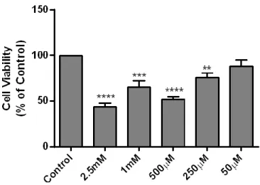 Figure 12 - MTOB is toxic to N27 cells at high concentrations. Graph depicts N27 cells viability upon  stimulation with different concentrations of MTOB (2.5mM, 1mM, 500µM, 250µM and 50µM) for 24h