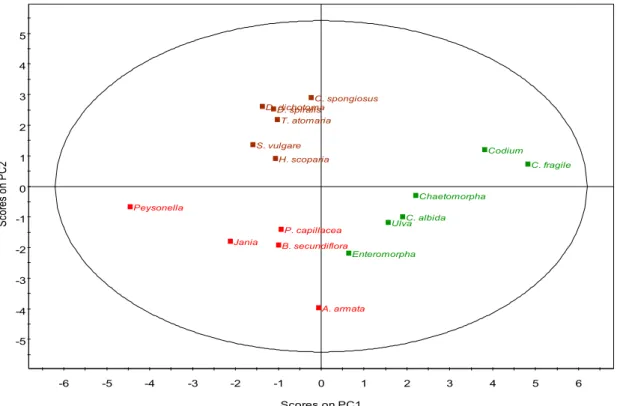 Figure 4. PCA of the fatty acid composition of macroalgae showing the data scores labeled  by phylum
