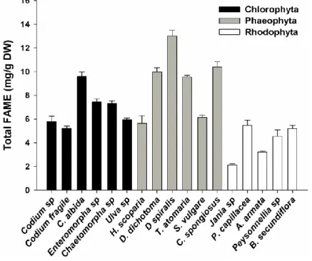 Figure  2.  Total  FAME  concentration  of  macroalgae  from  three  different  phyla  (Chlorophyta,  Phaeophyta  and  Rhodophyta)