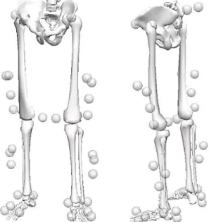 Figure 1. Reconstructed biomechanical model in Visual 3D with marker setup used for motion captures