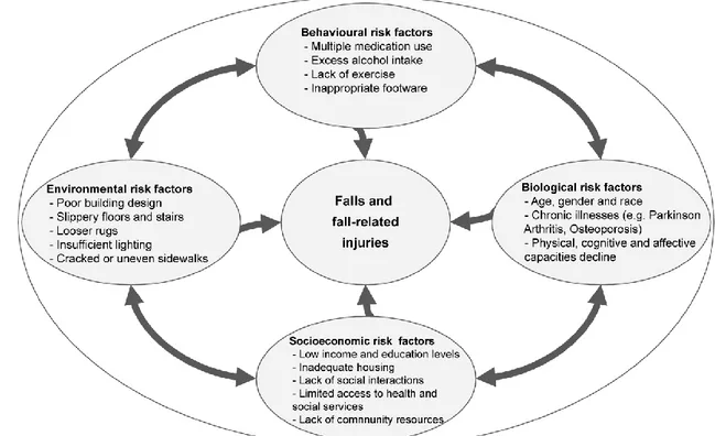 Figure 1.1: Risk factor model for falls in older age (World Health Organization, 2007) 