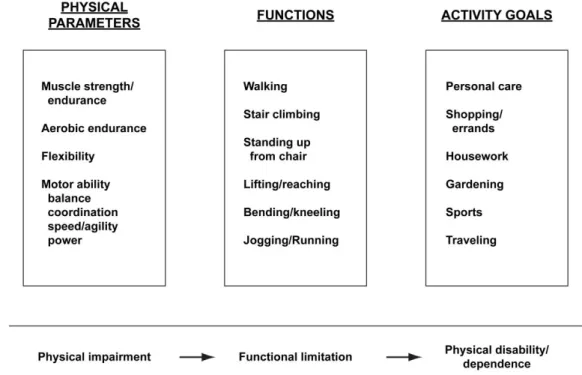 Figure 1.3: A functional ability framework (Rikli &amp; Jones, 1997, 1999) 