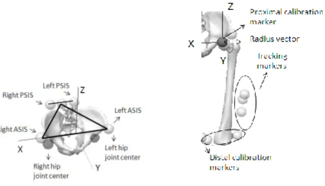Figure  3  -  a)  CODA  model  and  for  pelvis  construction  in  Visual  3-D:  ASIS  and  PSIS  are  necessary  to  determine  pelvis  SCS
