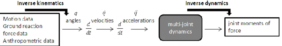 Figure 5 - Workflow of the inverse problem using inverse kinematic and dynamic solutions