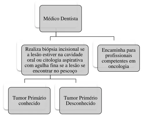 Figura 3  - Fase final do protocolo de atuação do Médico Dentista. 