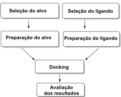 Figura  1.2  -  Algoritmo  típico  para  o  docking  molecular,  com  os  passos  chaves  comuns  para  todos  os  protocolos (adaptado de 17 ).