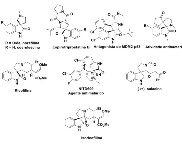 Figura 1.8 - Exemplos de alguns produtos naturais e compostos farmacêuticos importantes contendo o  núcleo espiroindolinona 62 
